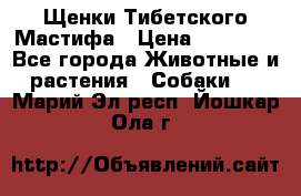 Щенки Тибетского Мастифа › Цена ­ 60 000 - Все города Животные и растения » Собаки   . Марий Эл респ.,Йошкар-Ола г.